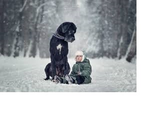 kid and large dog